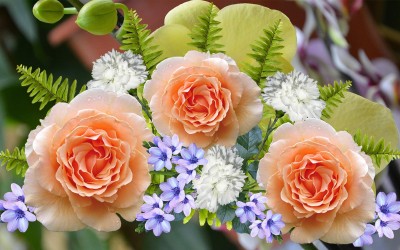 Flower 3