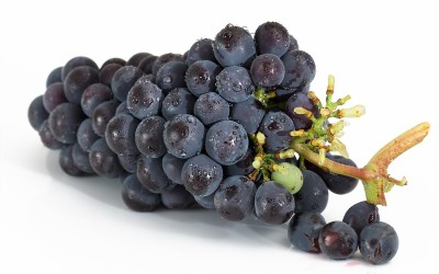 Fruit 7