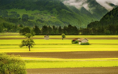 Nature